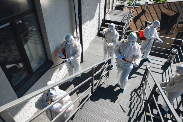 Best HVAC Mold Inspection and Cleaning  in Holt, MI