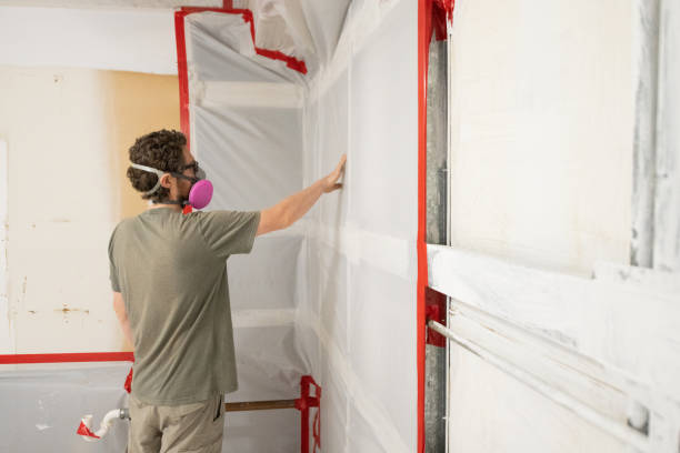 Best Commercial Mold Inspection  in Holt, MI