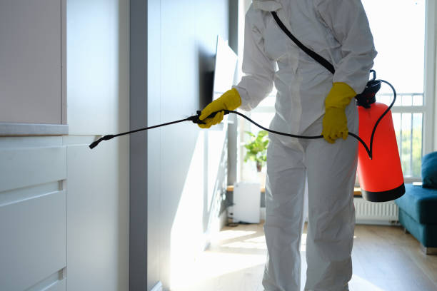 Best Post-Construction Mold Inspection  in Holt, MI
