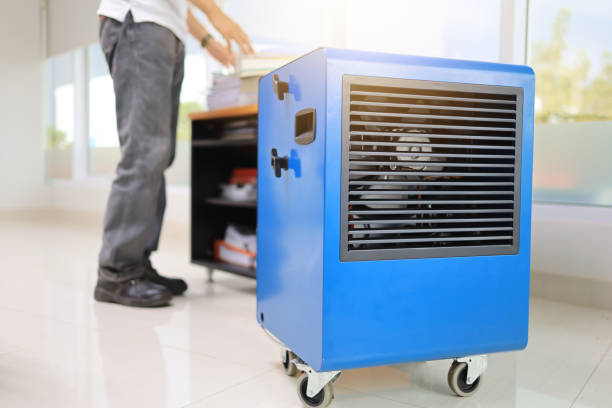 Best Mold Documentation for Insurance Claims  in Holt, MI