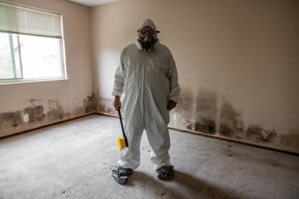 Best Comprehensive Air Testing for Mold Contaminants  in Holt, MI